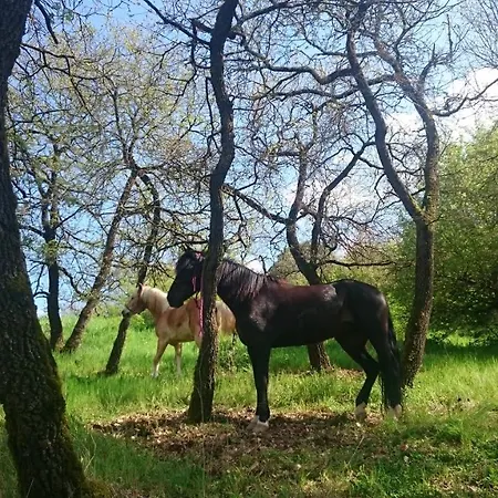 Delle Noci Ξενοδοχείο Περούτζια