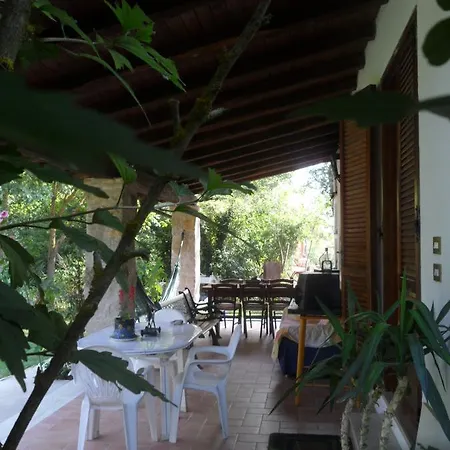 Delle Noci Περούτζια