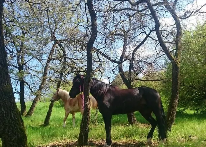 Delle Noci Hotel Perugia