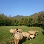 Ξενοδοχείο Delle Noci