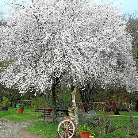 Delle Noci Отель