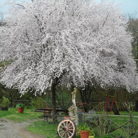 Szálloda Delle Noci 4*