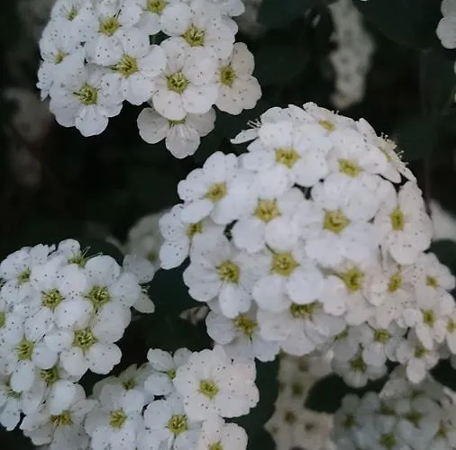 Hotel Delle Noci Perugia